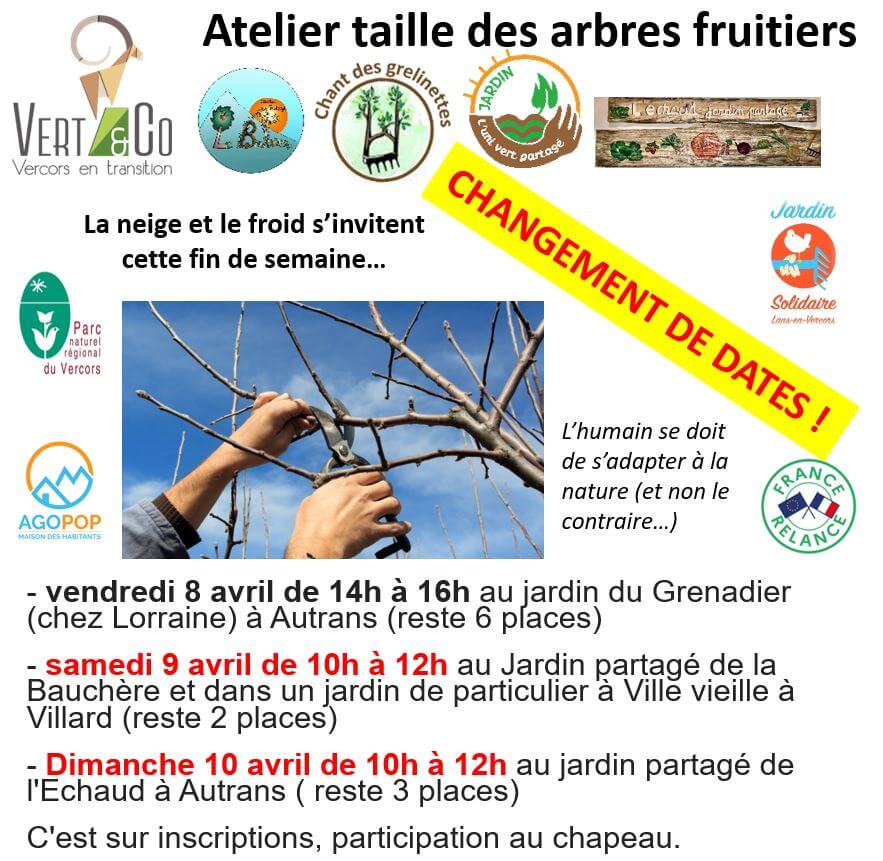 programme taille des arbres