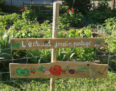 Pancarte en bois devant un jardin où il est écrit "L'échaud, jardin partagé" en peinture blanche et où des légumes sont peints